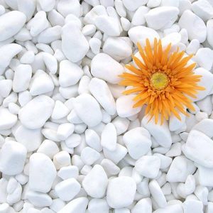 Pebbles Thasos White Medium 3-6cm (Oblutak) 20 kg